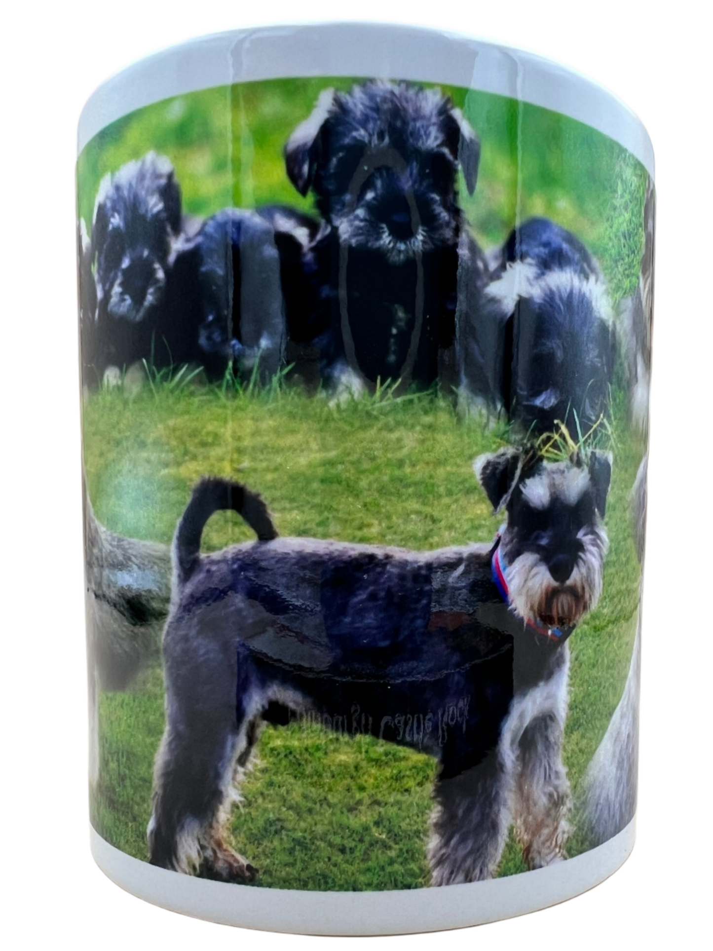 Dog Mug - Schnauzer