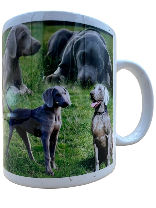 Dog Mug - Wiemaraner