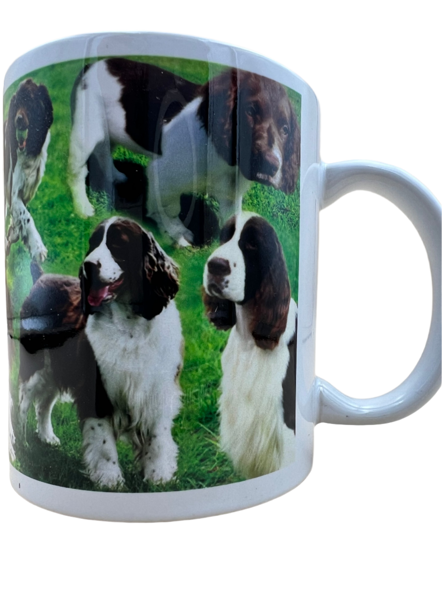 Dog Mug - Springer Spaniel