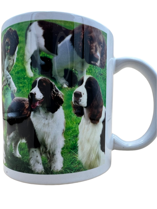 Dog Mug - Springer Spaniel