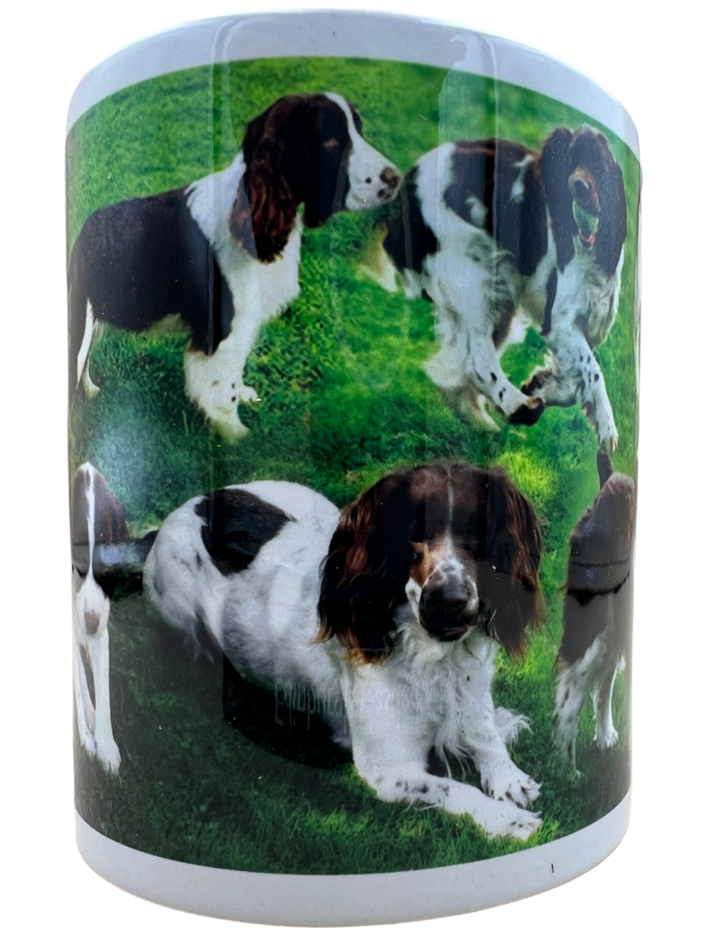 Dog Mug - Springer Spaniel