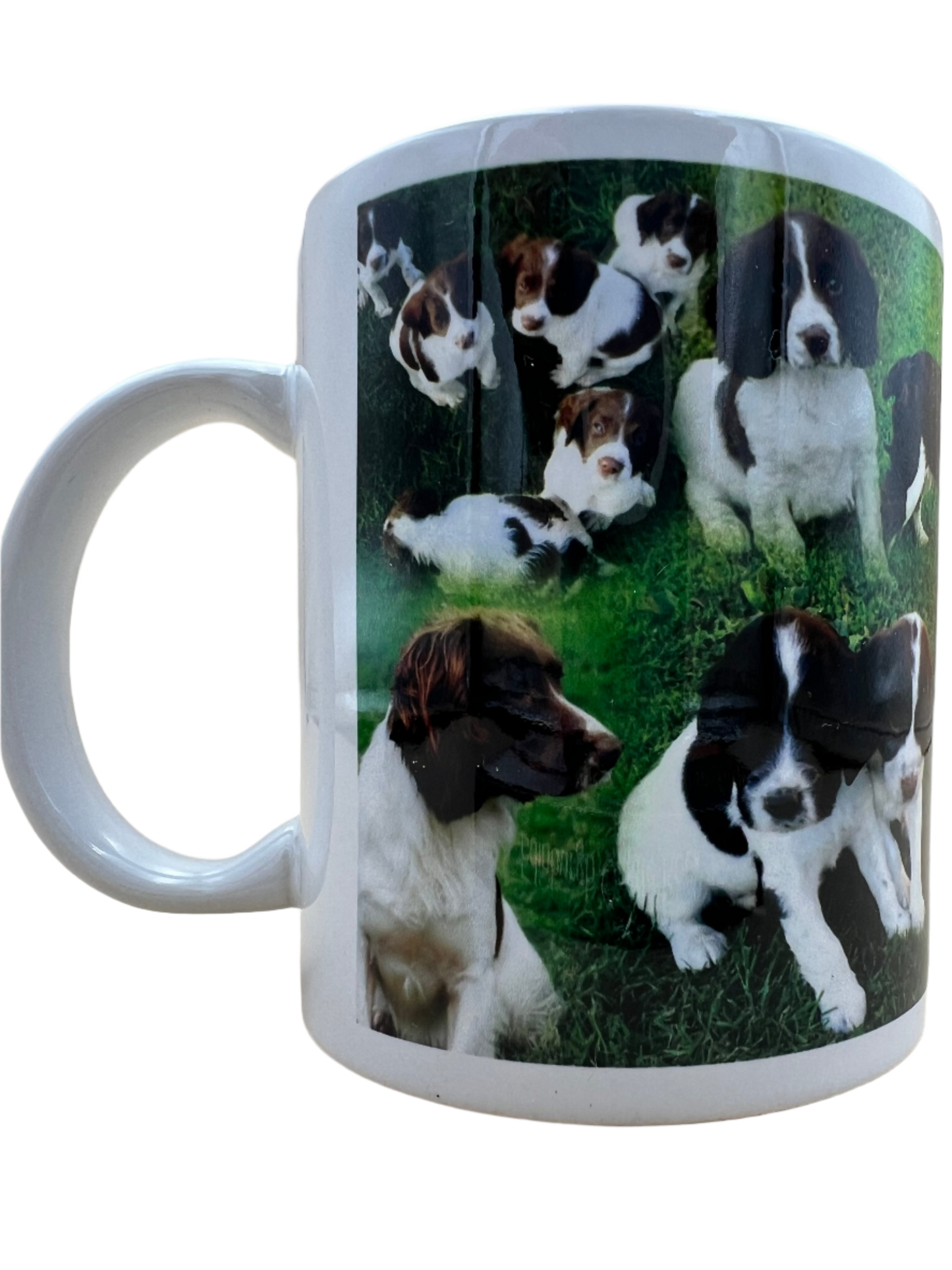 Dog Mug - Springer Spaniel