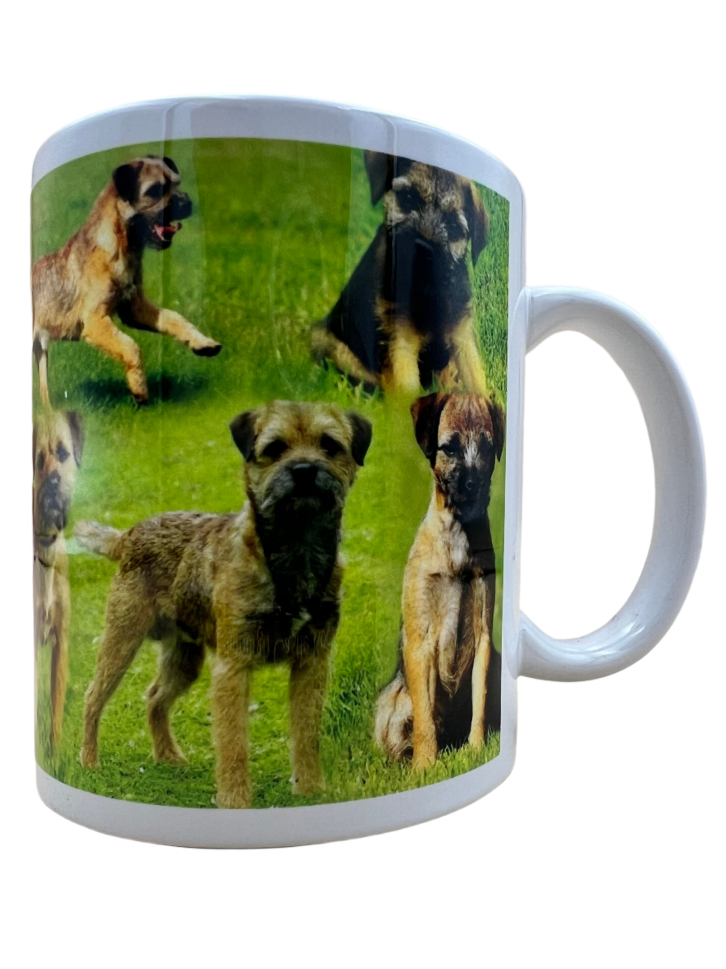 Dog Mug - Border Terrier