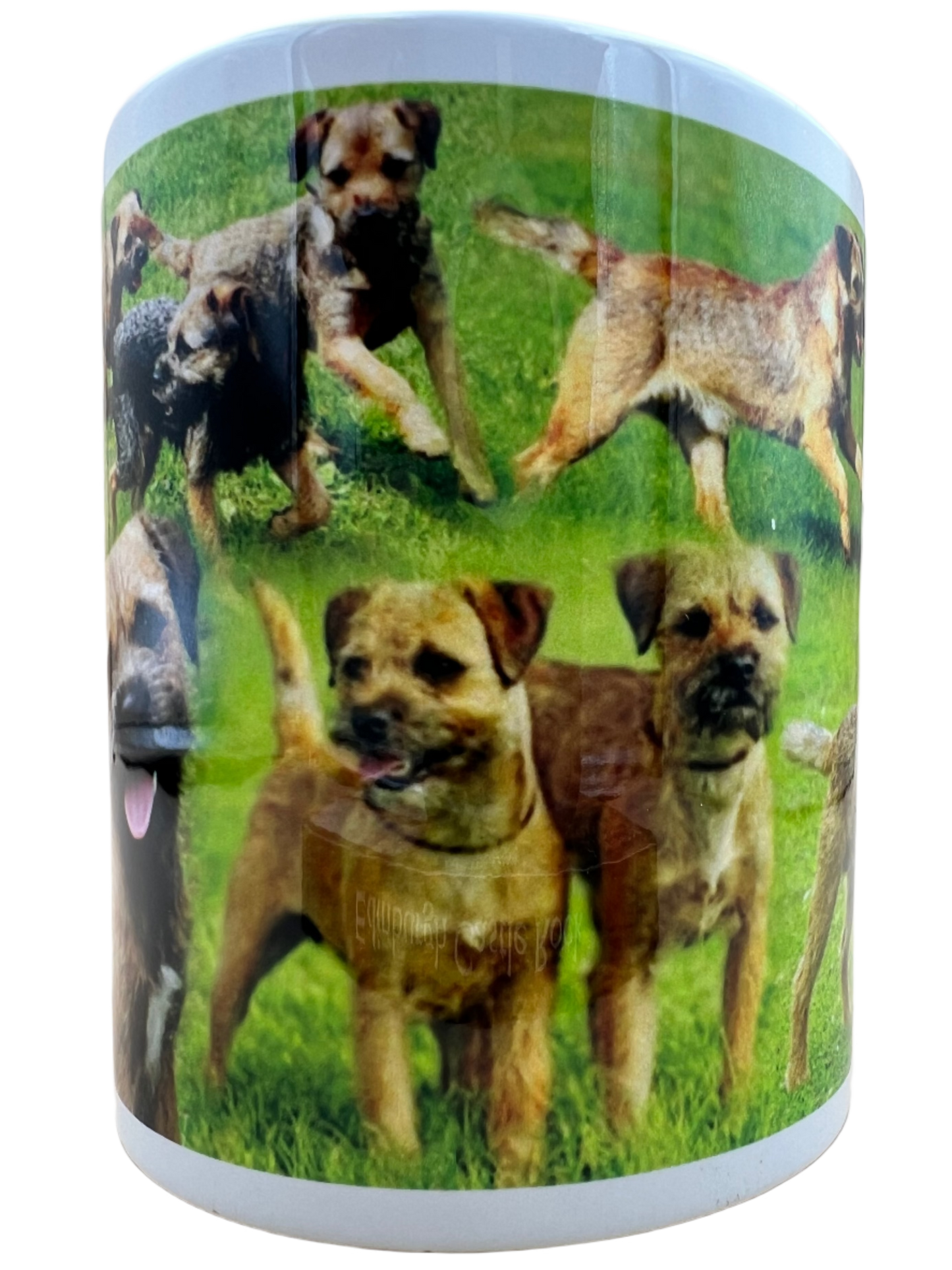 Dog Mug - Border Terrier