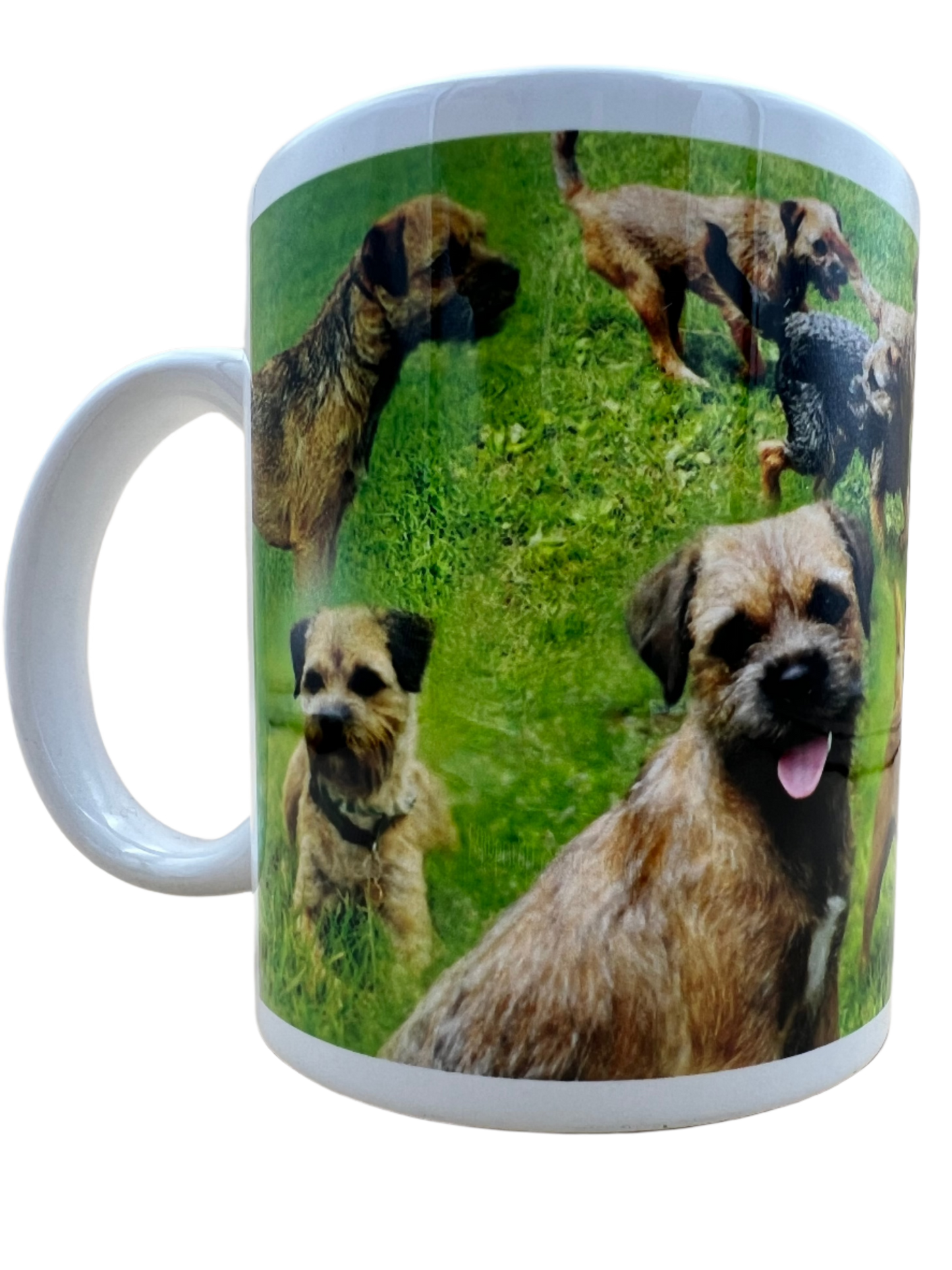 Dog Mug - Border Terrier