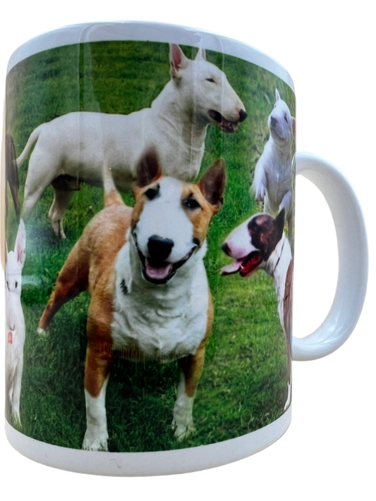 Dog Mug - Bull Terrier