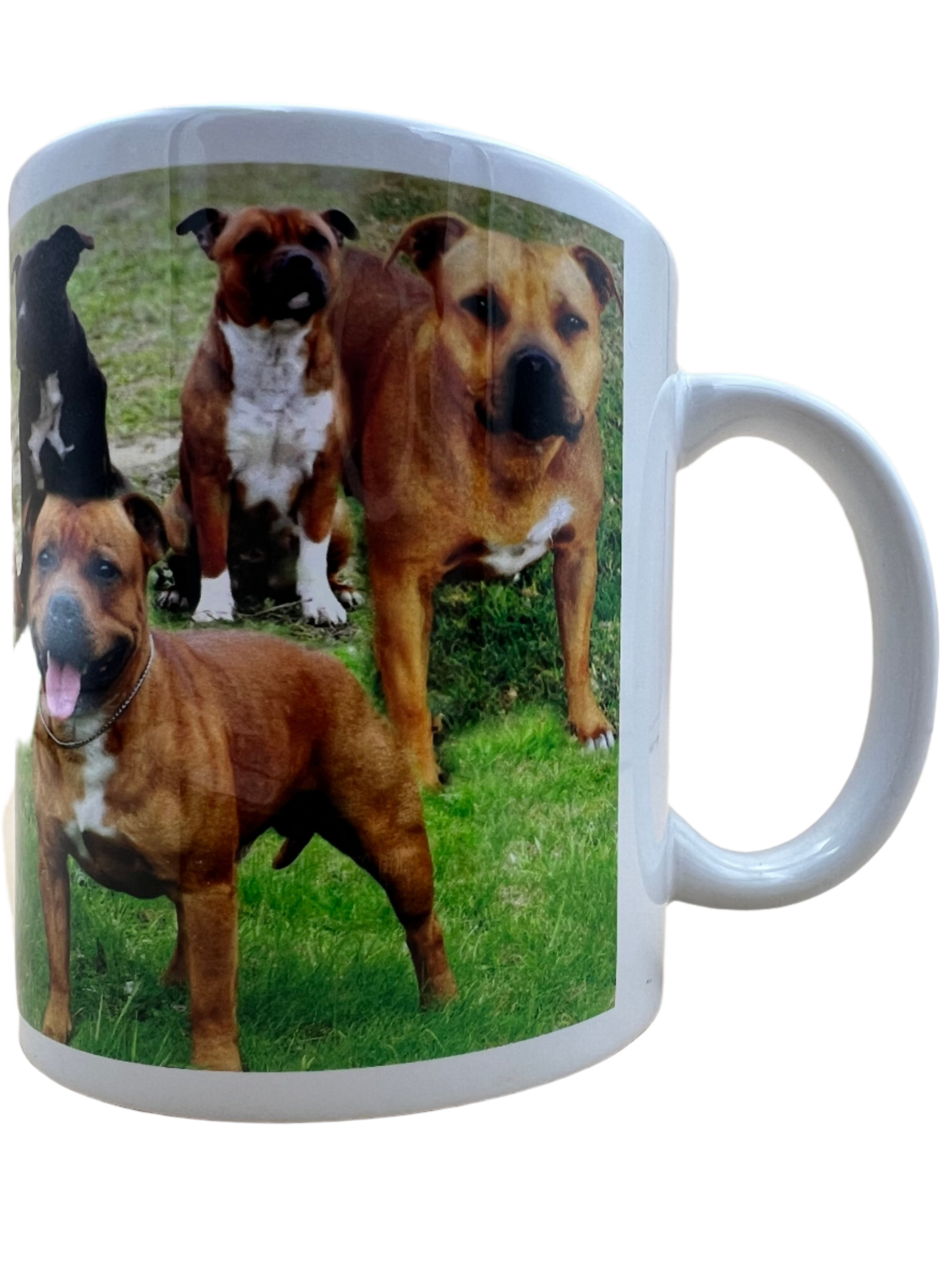 Dog Mug - Staffordshire Bull Terrier