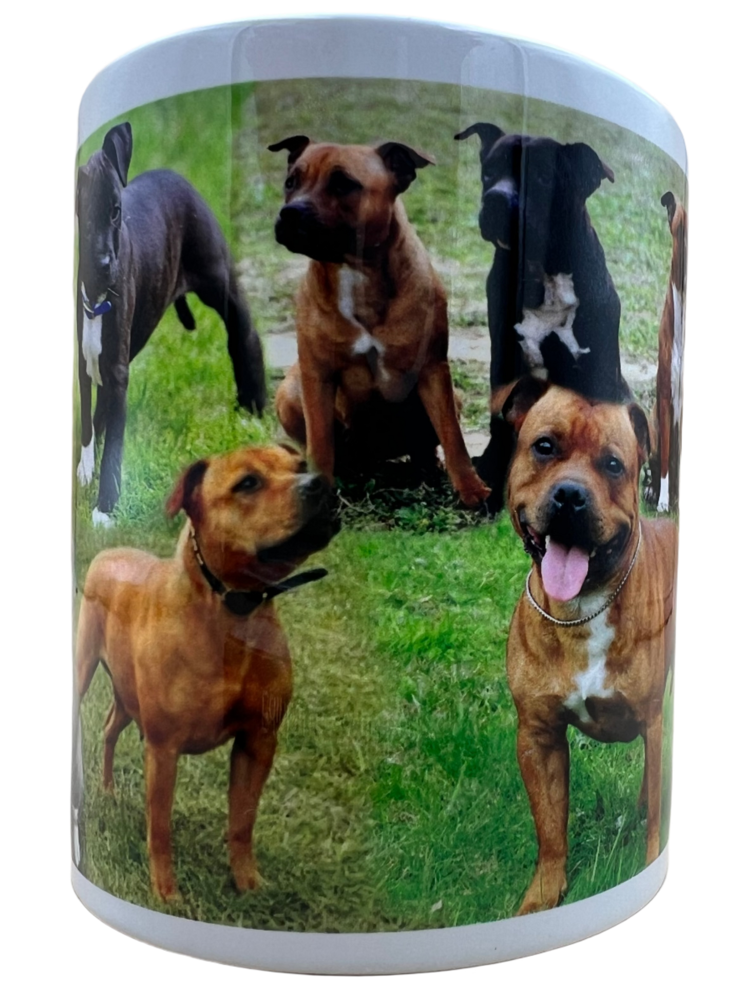 Dog Mug - Staffordshire Bull Terrier