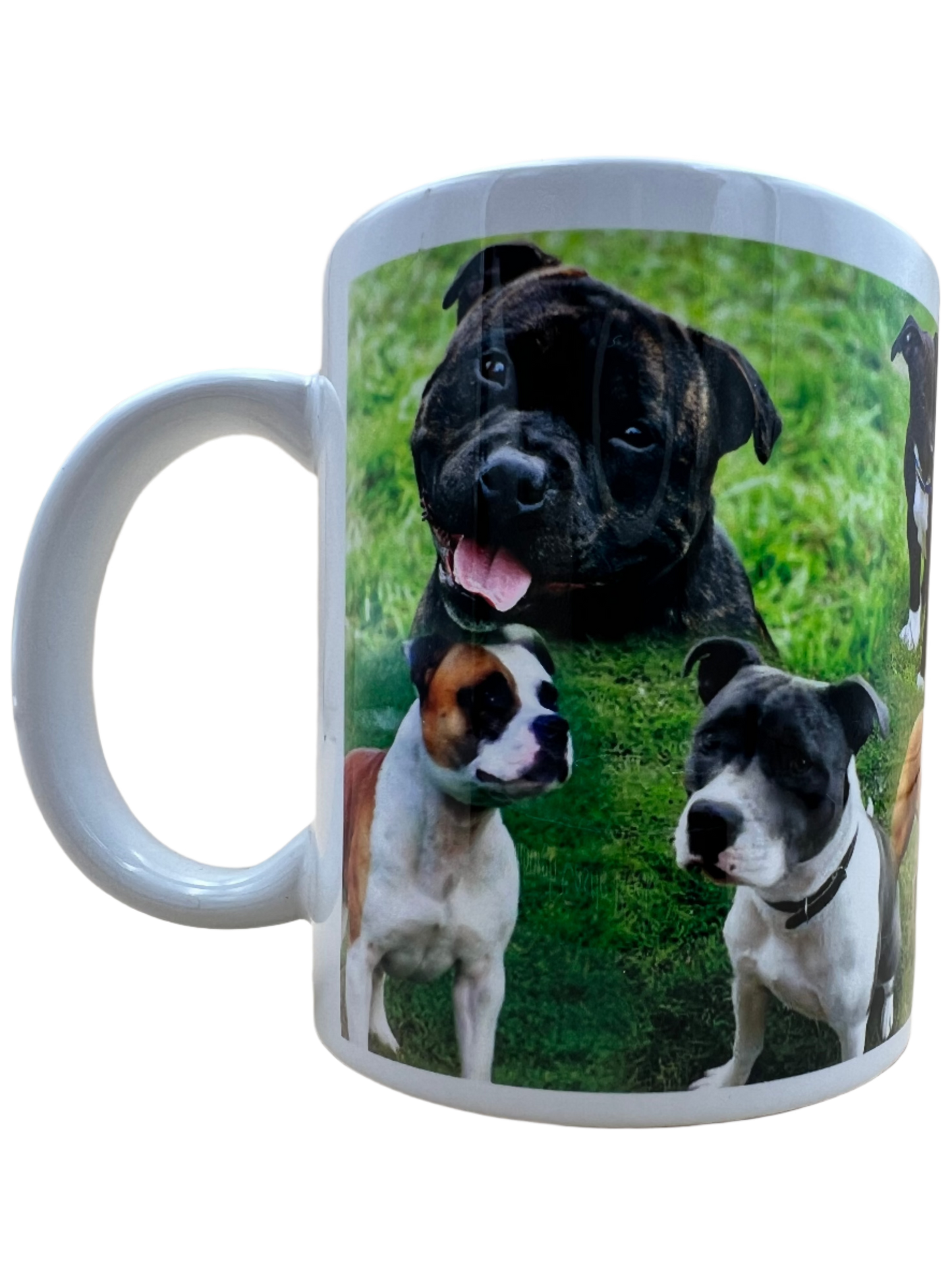 Dog Mug - Staffordshire Bull Terrier