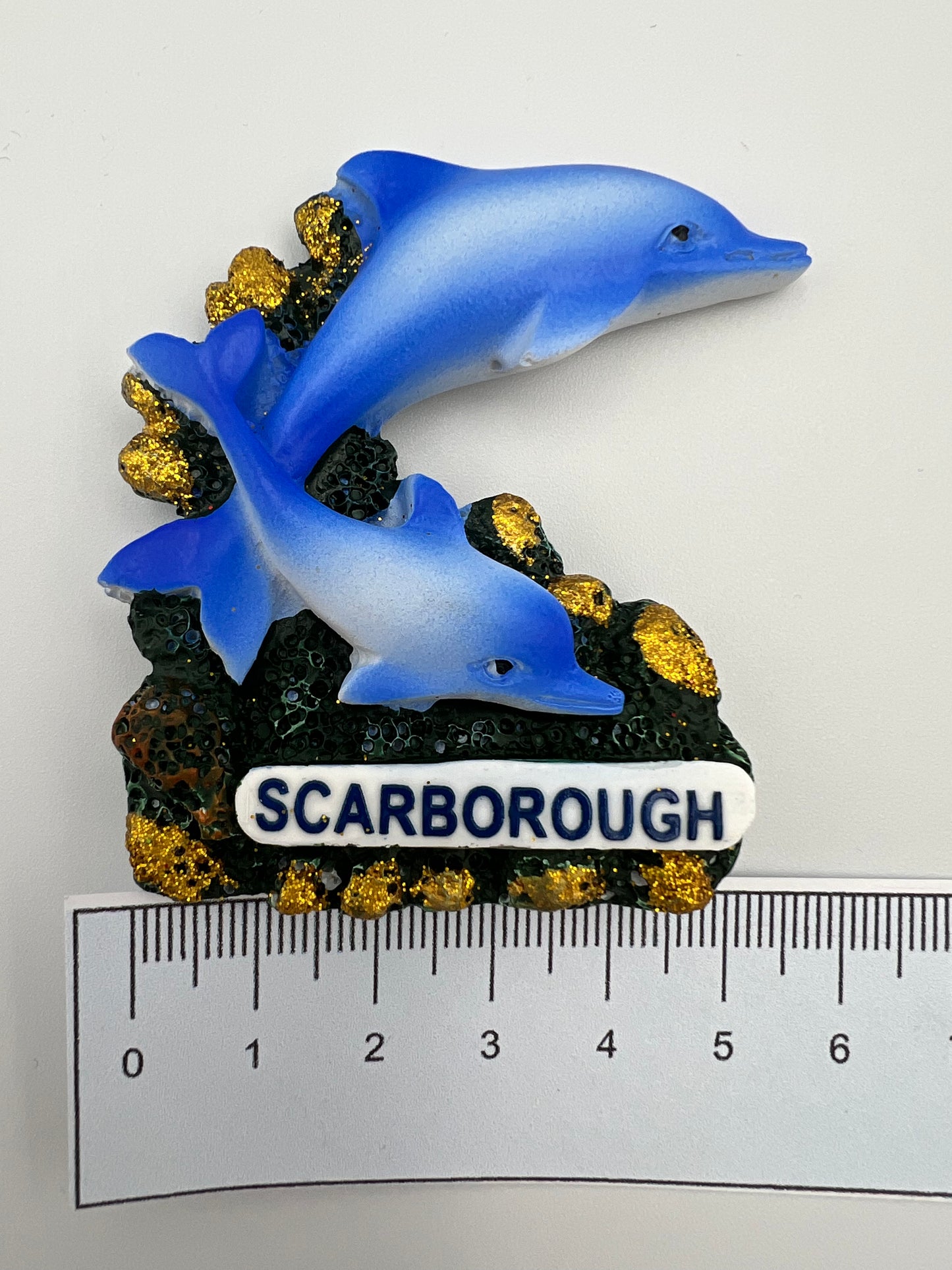 Dolphin Magnet