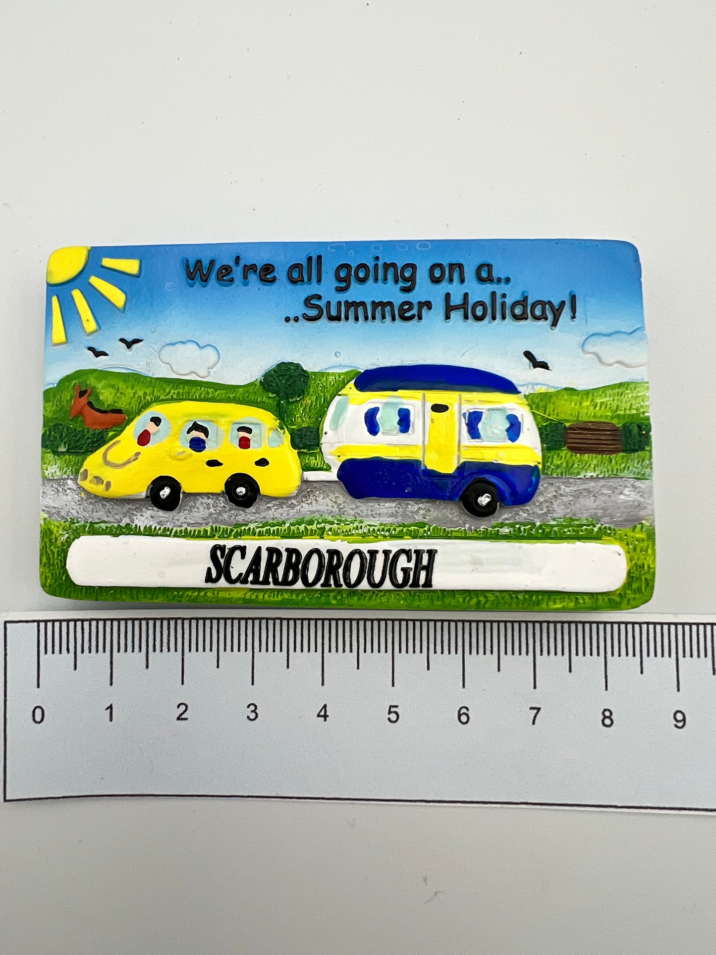 Car & Caravan Magnet