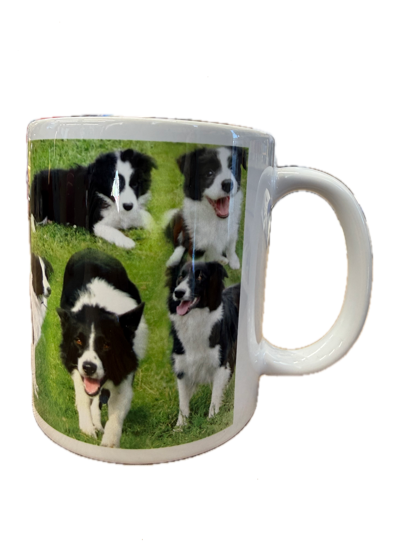 Dog Mug - Border Collie