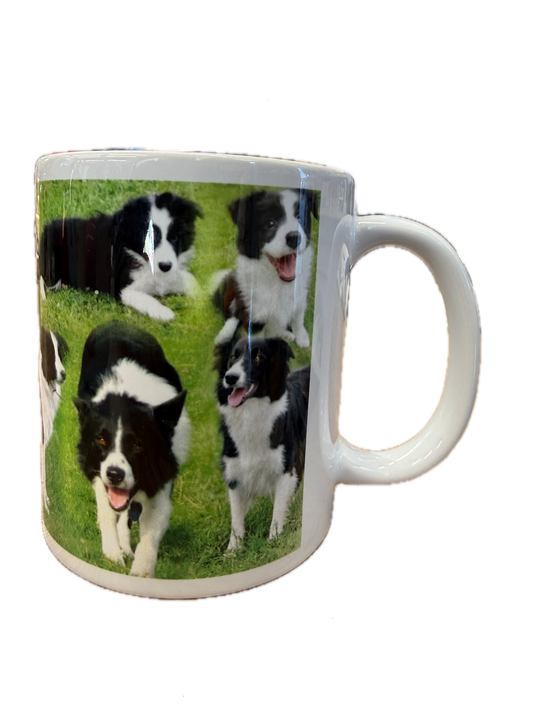 Dog Mug - Border Collie