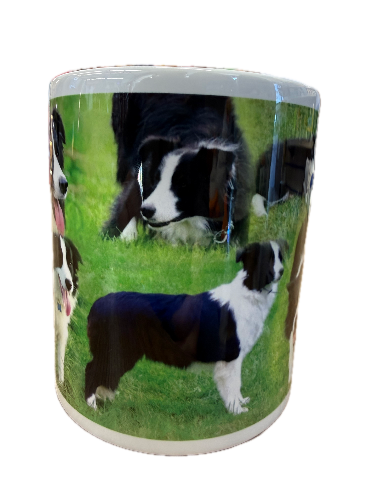 Dog Mug - Border Collie