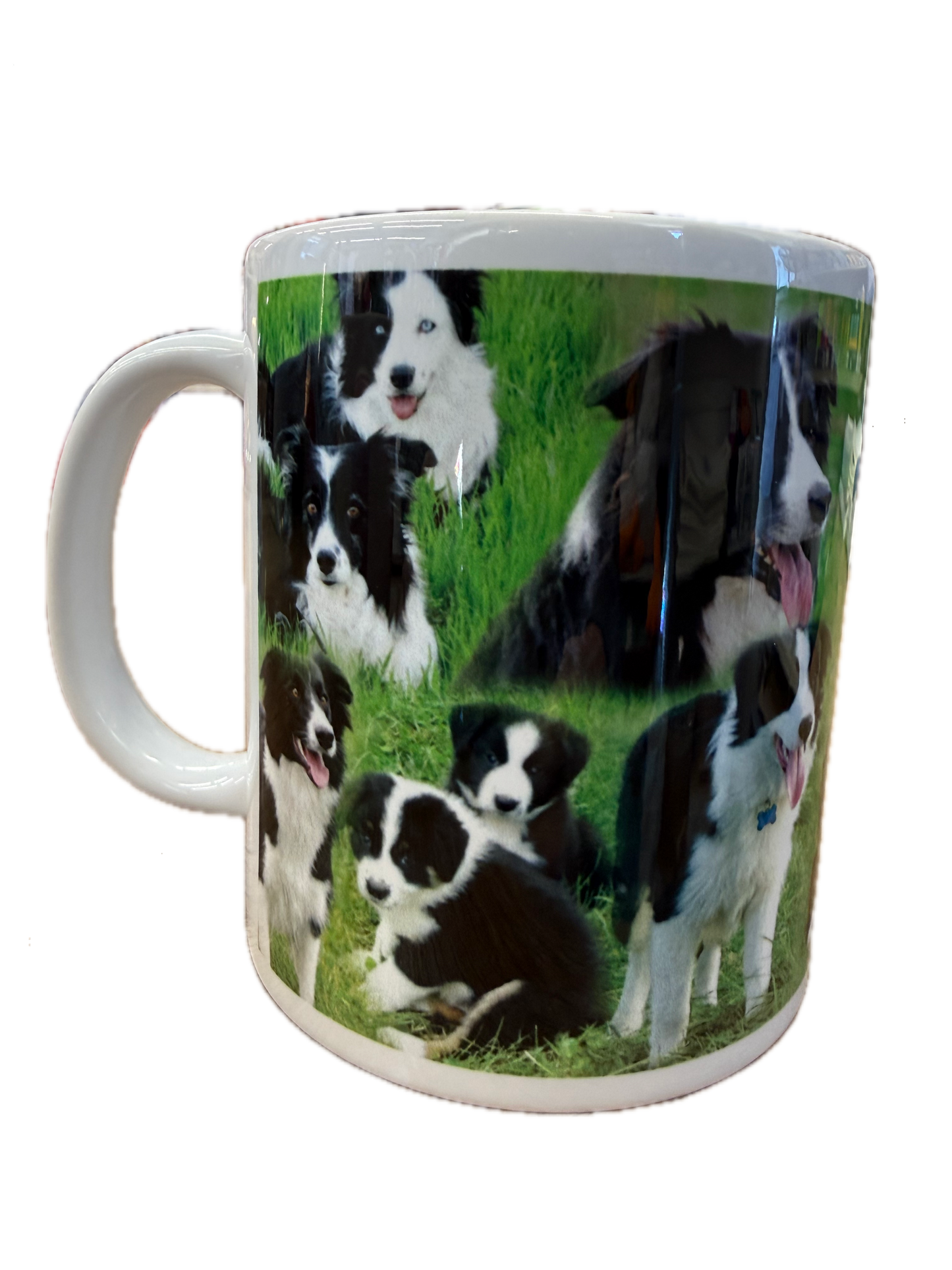 Dog Mug - Border Collie