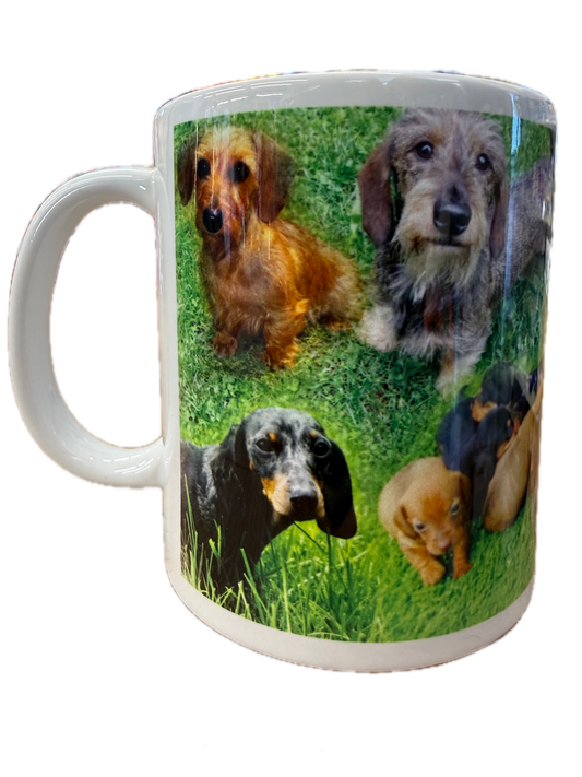Dog Mug - Dashound