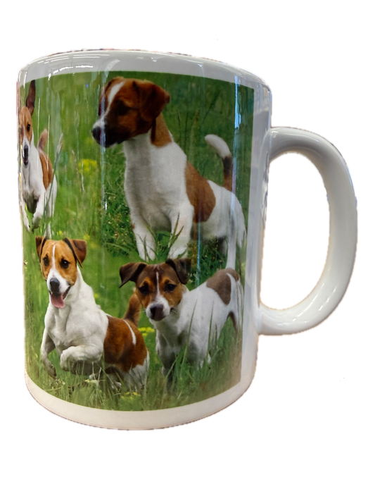 Dog Mug - Jack Russell