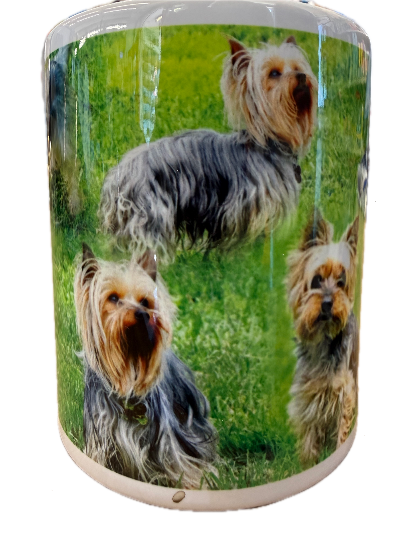 Dog Mug - Yorkshire Terrier