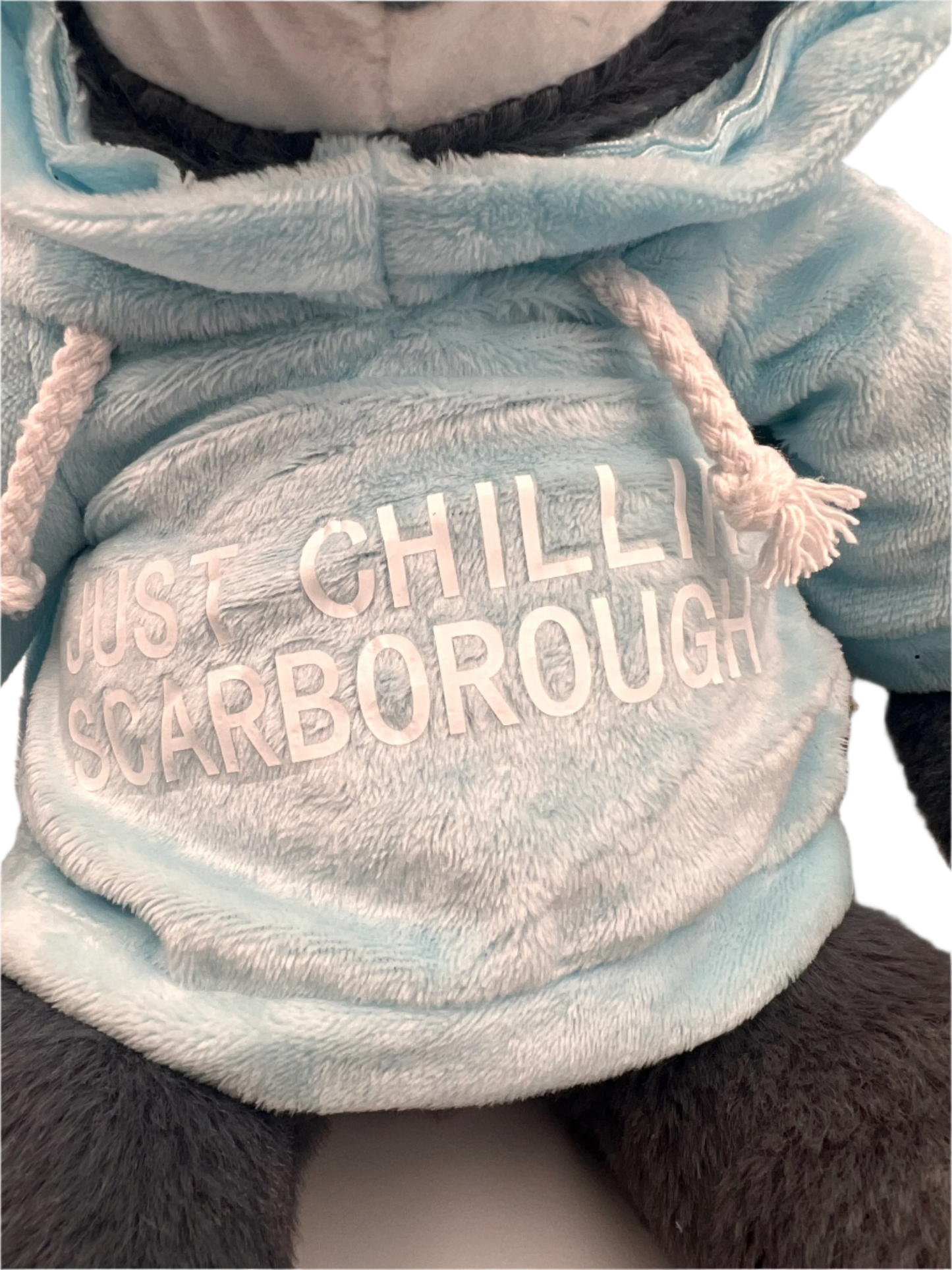 Scarborough Hoodie Sloth