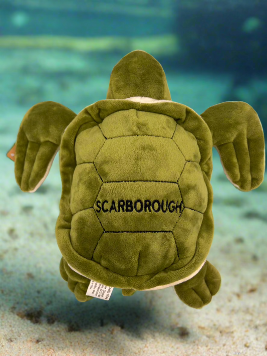 Scarborough Turtle - Large