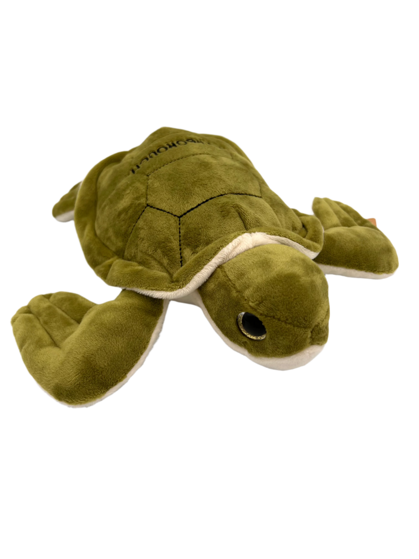 Scarborough Turtle - Large