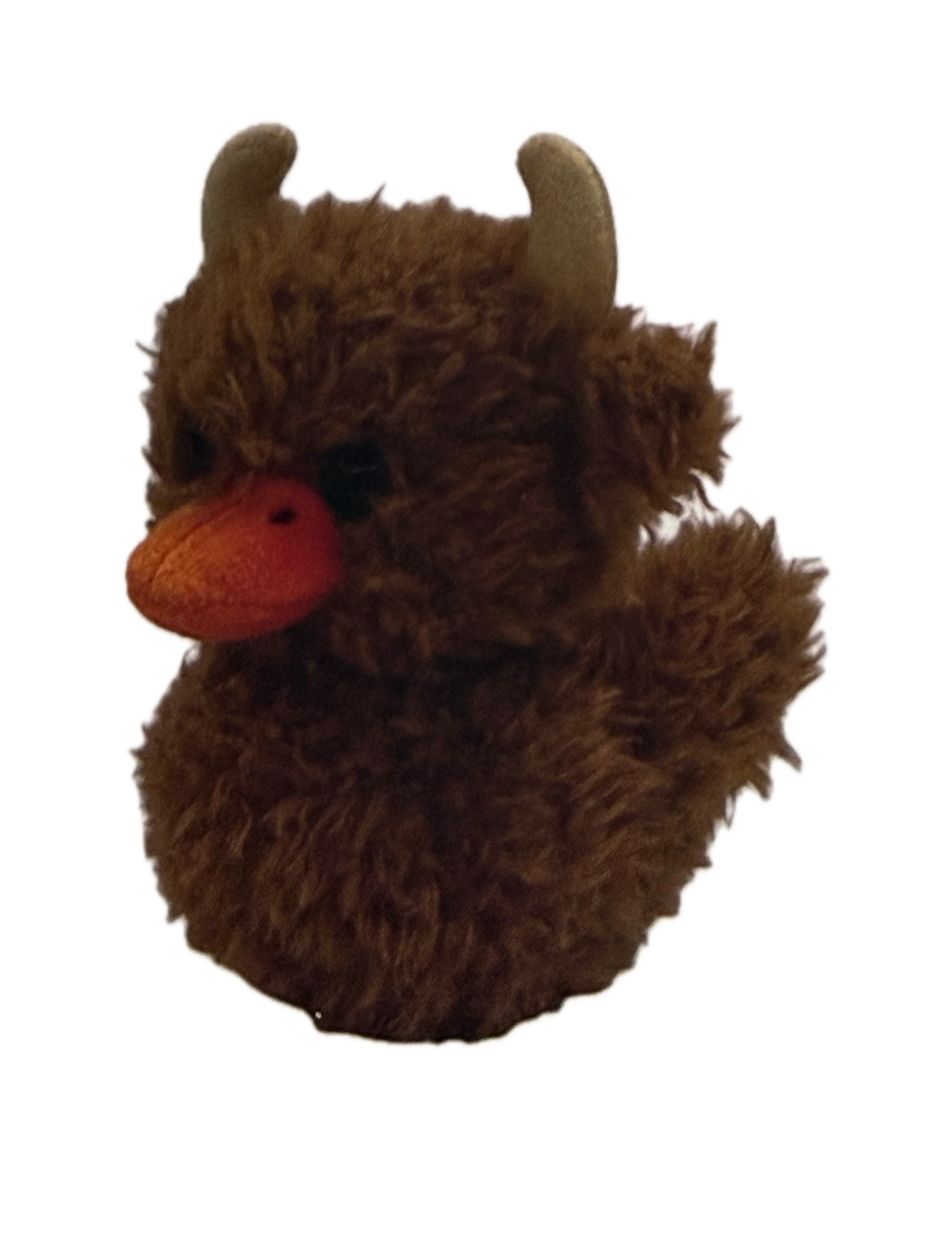 Quackers The Duck