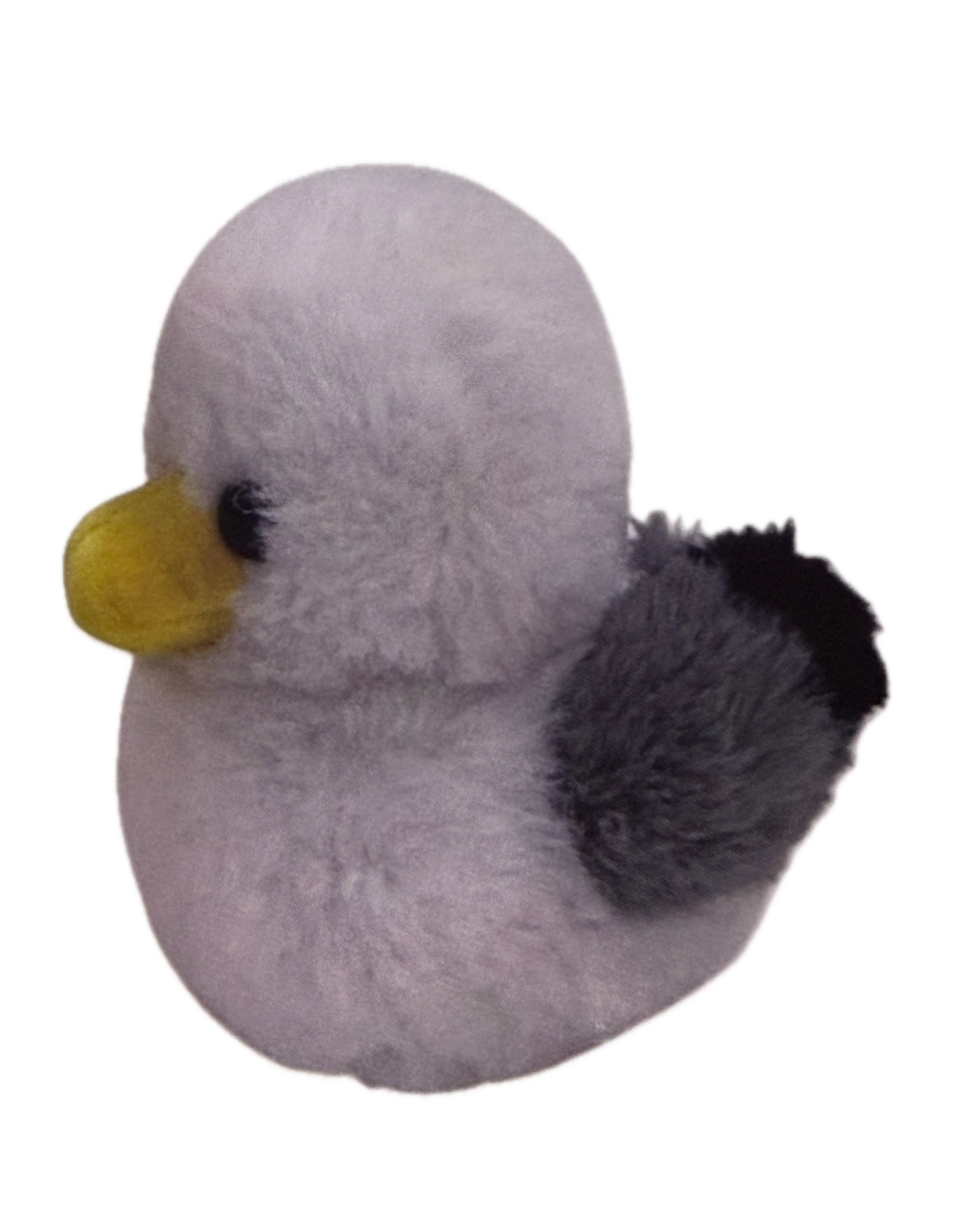 Quackers The Duck