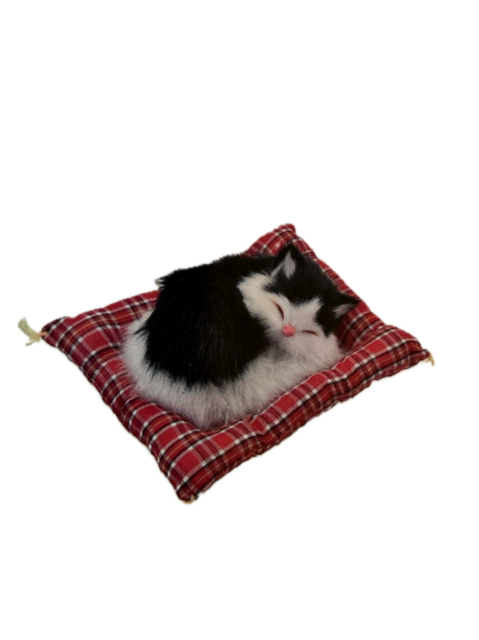 Sleeping Animal on Mat