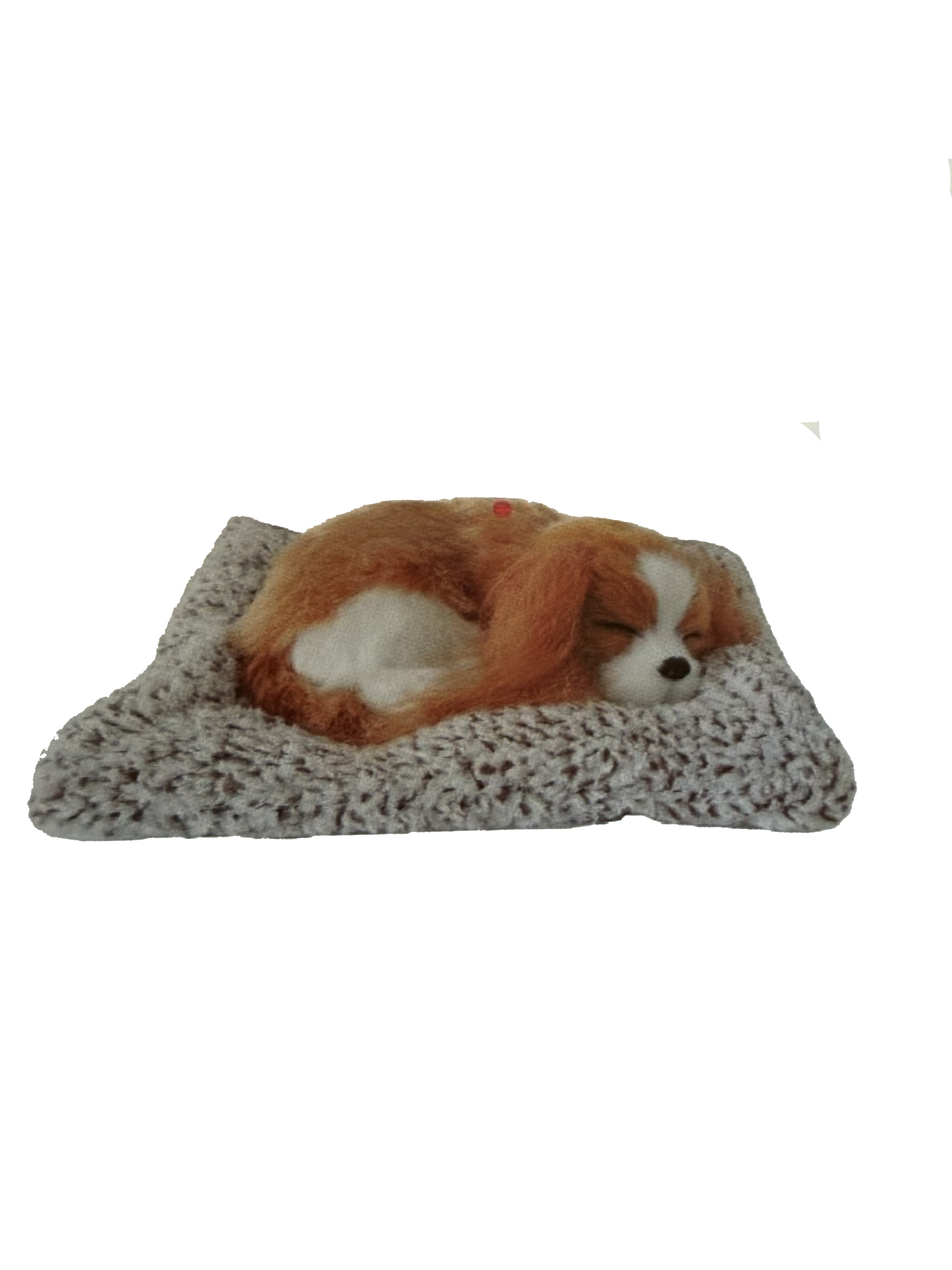 Sleeping Animal on Mat