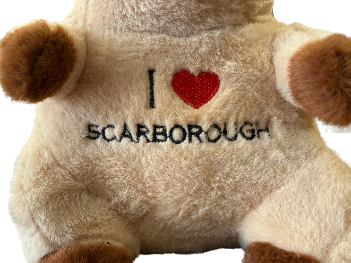 Plush Capybara 30cm (I Love Scarborough Embroidered)