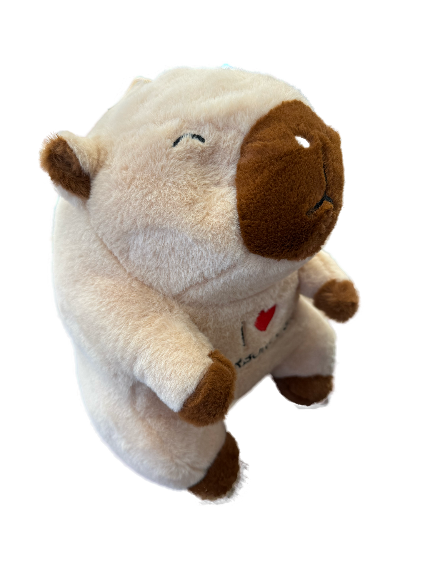 Plush Capybara 30cm (I Love Scarborough Embroidered)