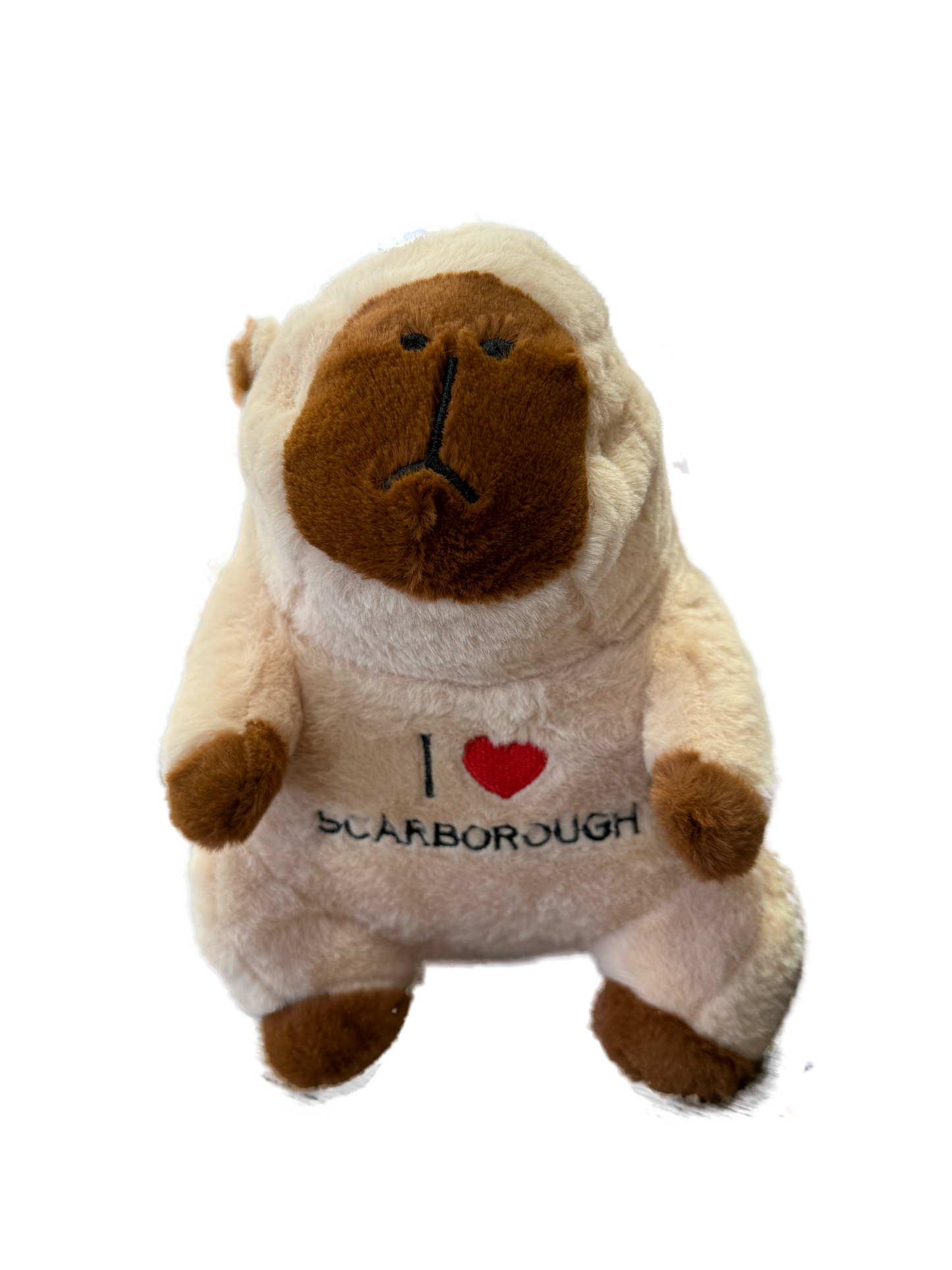 Plush Capybara 30cm (I Love Scarborough Embroidered)