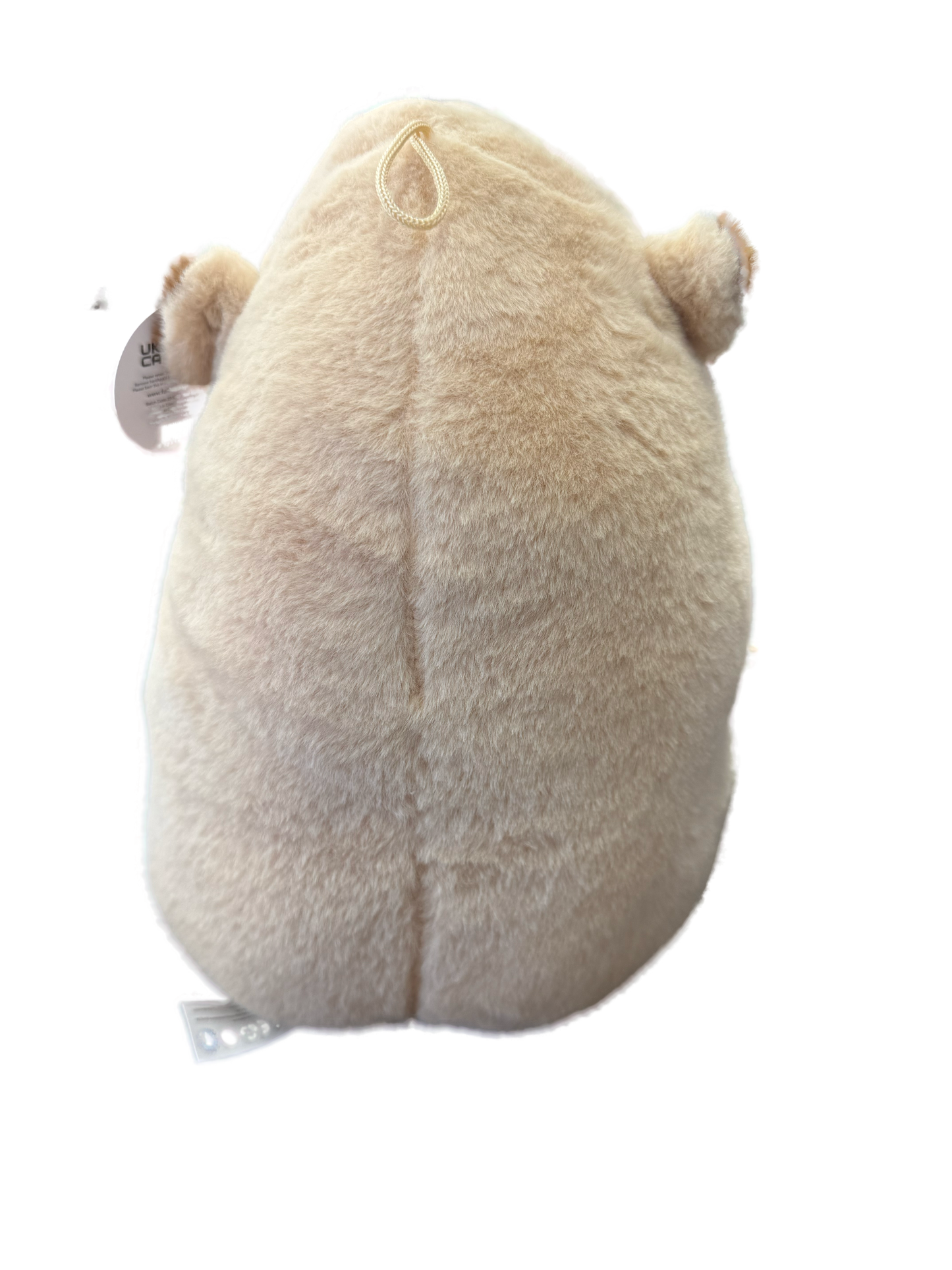 Plush Capybara 30cm (I Love Scarborough Embroidered)