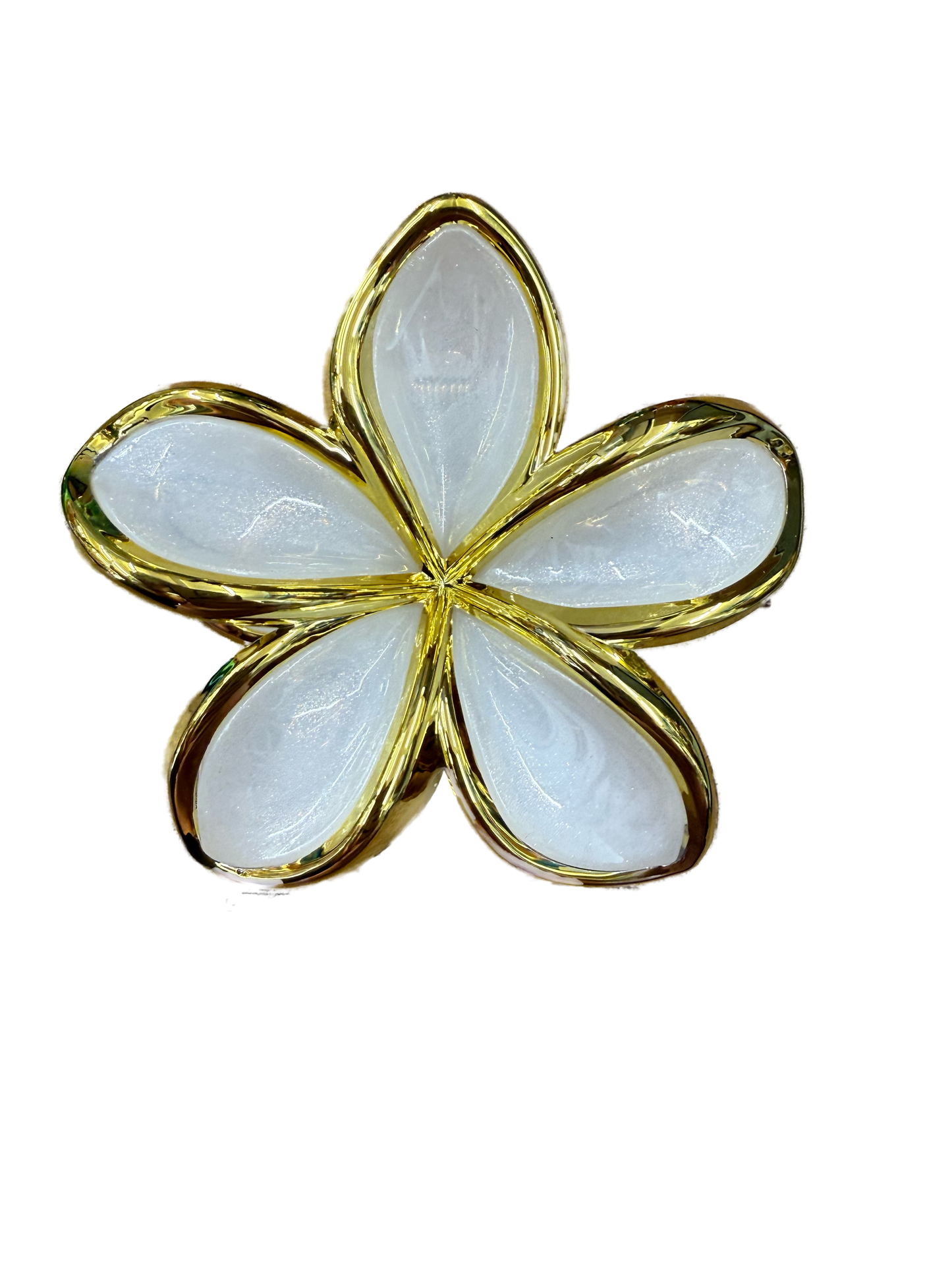 Hibiscus Claw Hair Clip 2026