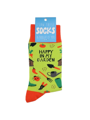 I Saw This Sock - Assorted