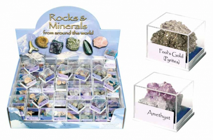 Fossil & Mineral box