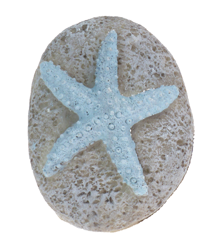 Resin Carved Stone - Starfish