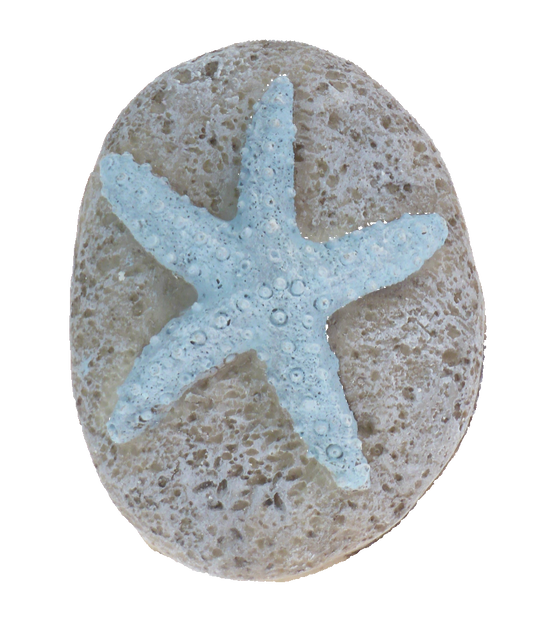 Resin Carved Stone - Starfish