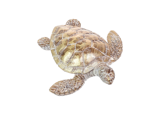 Decorative turtle figurine with a textured shell on a white background