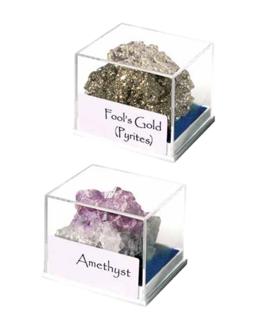 Fossil & Mineral box