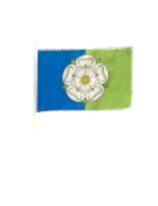 Hand Waving Flag (Assorted Designs)