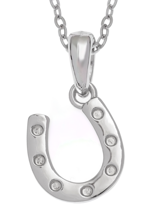 Horseshoe Necklace