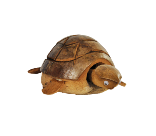 Coconut Nodding Tortoise