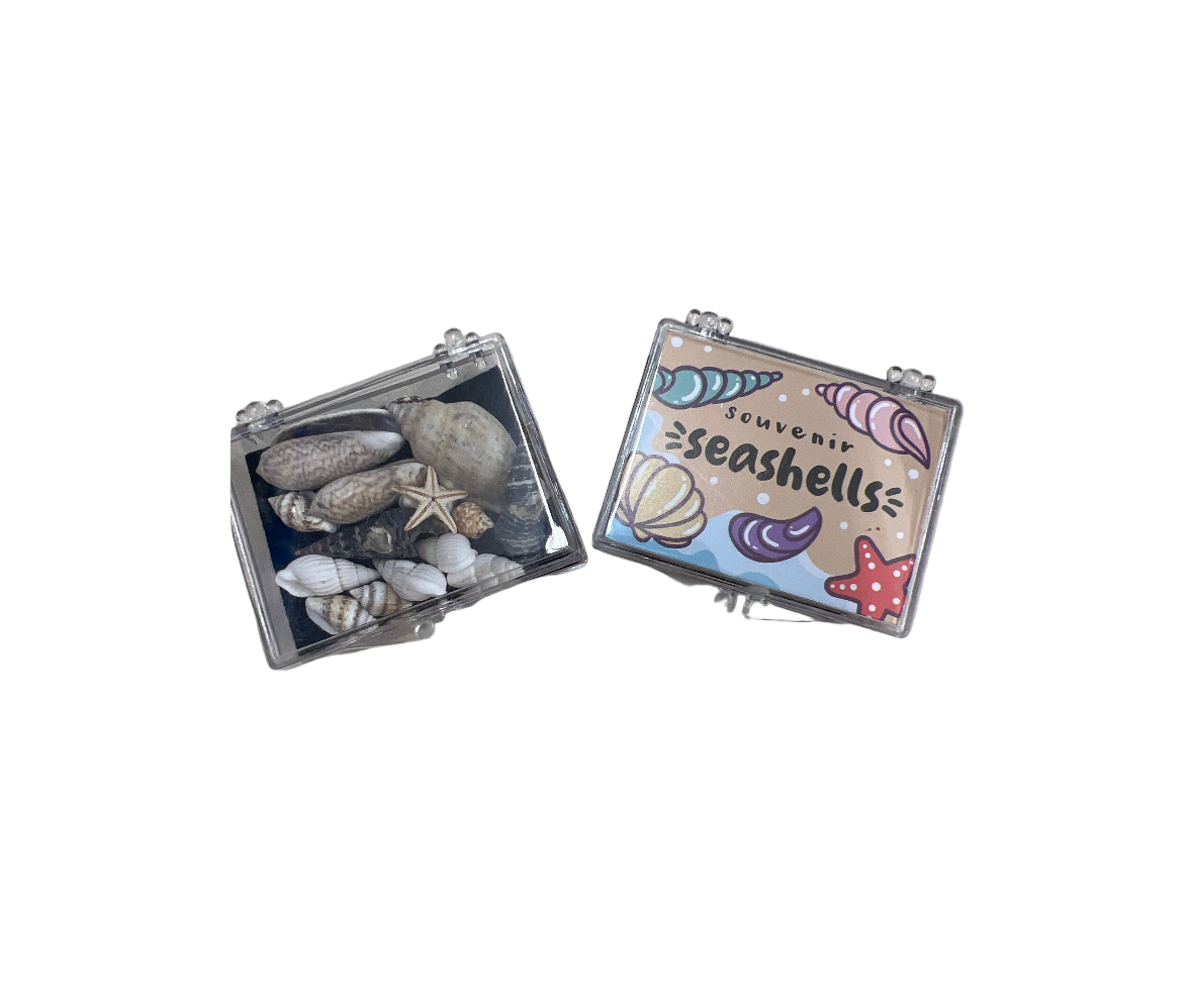 Mini Sea Shell Box