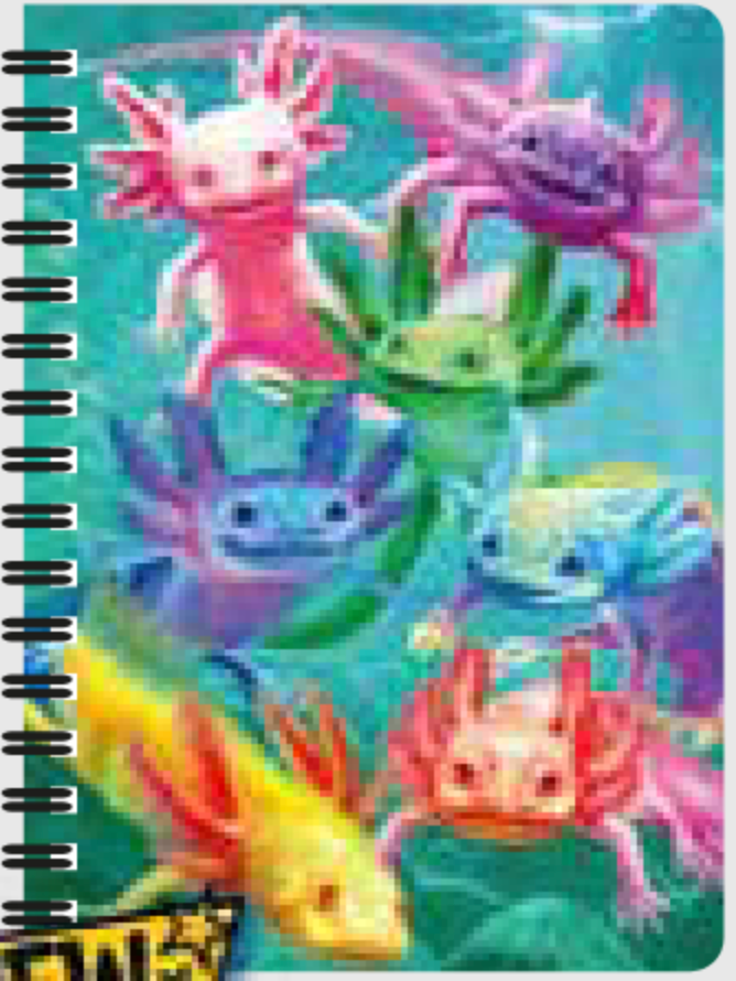 3D Jotter - Assorted Designs