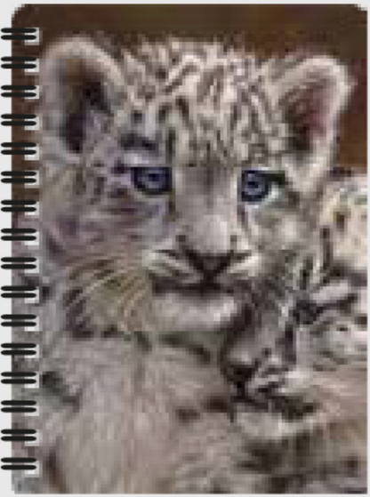 3D Jotter - Assorted Designs