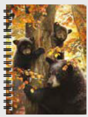 3D Jotter - Assorted Designs