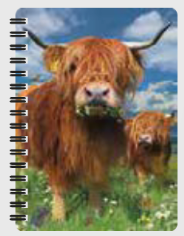 3D Jotter - Assorted Designs