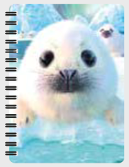 3D Jotter - Assorted Designs