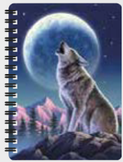 3D Jotter - Assorted Designs